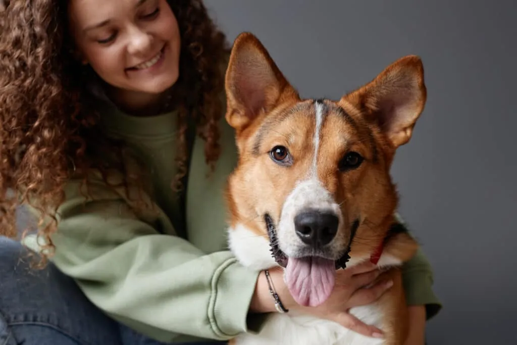 Combien coûte un chien par an en moyenne en Belgique